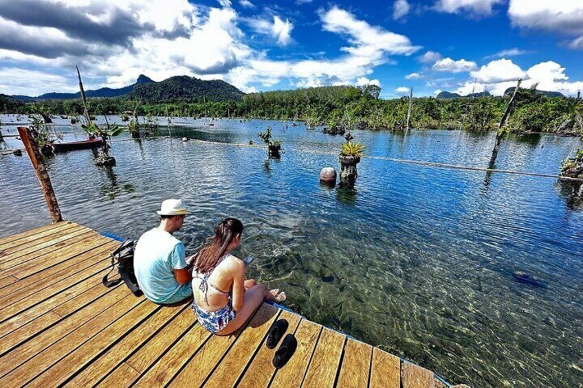 Krabi Clear Water Canal (Klong Root) Kayak Tour