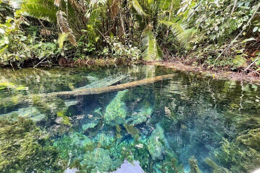  Krabi Clear Water Canal (Klong Root) Kayak Tour