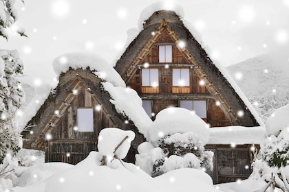 From Takayama: Shirakawago and Gokayama Bus Tour by Nohi Bus