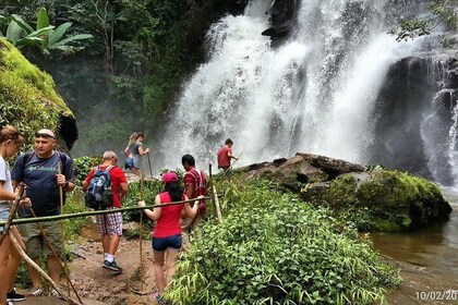 Doi Inthanon National park and 2 hours hiking with private tour