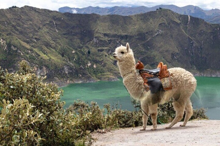 Quilotoa A Day of Andean Charm