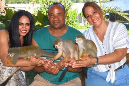Shore Excursion Monkey Encounter and Puerto Plata City Tour