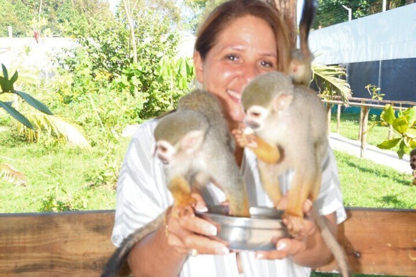 Shore Excursion Monkey Encounter and Puerto Plata City Tour