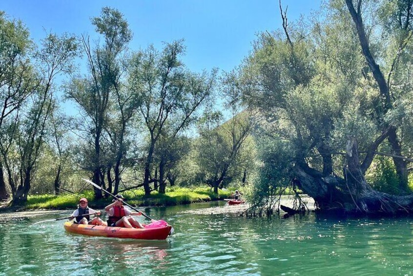 Skadar Lake: Kayak and SUP Rental