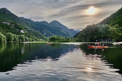 Skadar Lake: Kayak and SUP Rental
