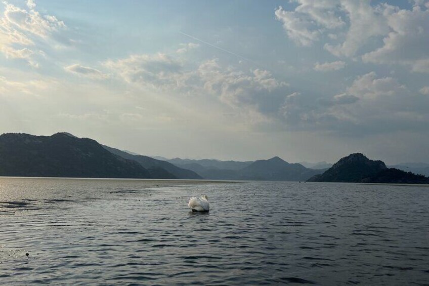 Skadar Lake: Kayak and SUP Rental