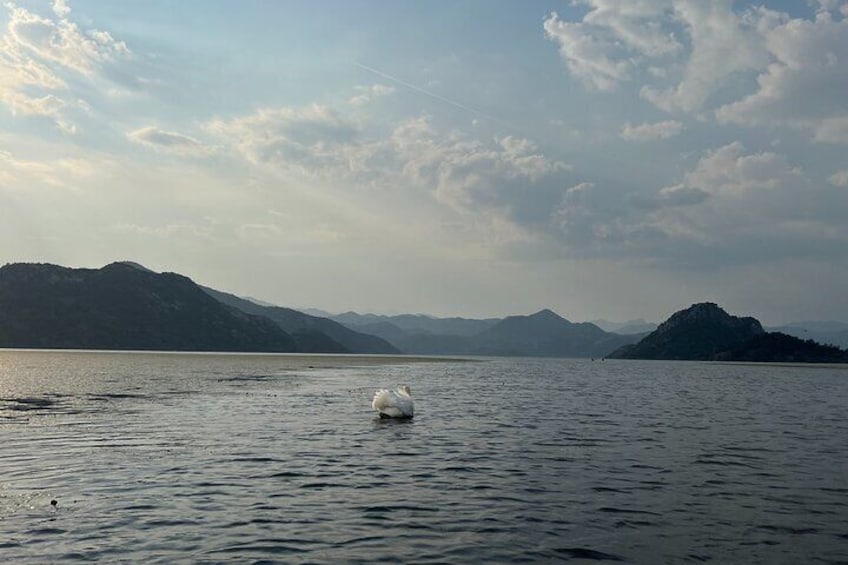 Skadar Lake: Kayak and SUP Rental