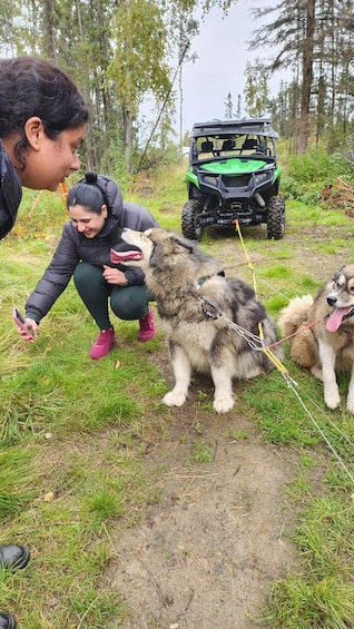 Picture 4 for Activity Fairbanks: Alaskan Summer Sled Dog Adventure