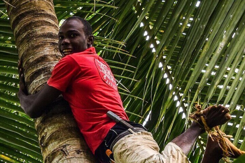 Jozani Forest & Spice Farm Experience With Transfer - Zanzibar