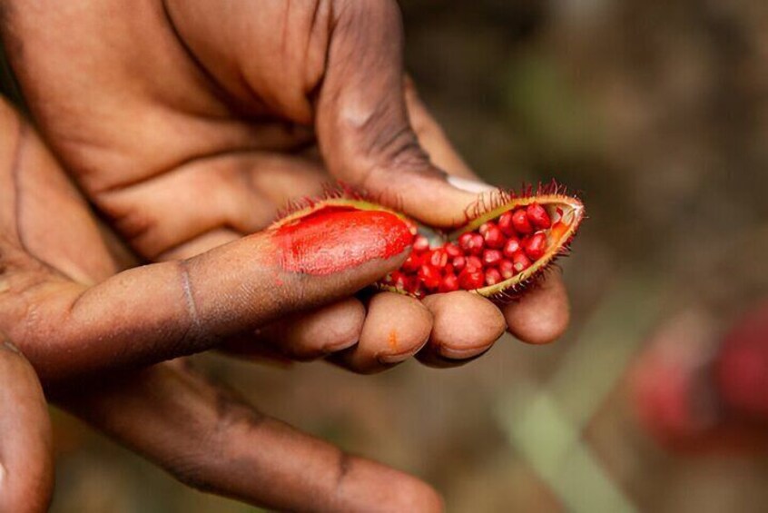 Jozani Forest & Spice Farm Experience With Transfer - Zanzibar