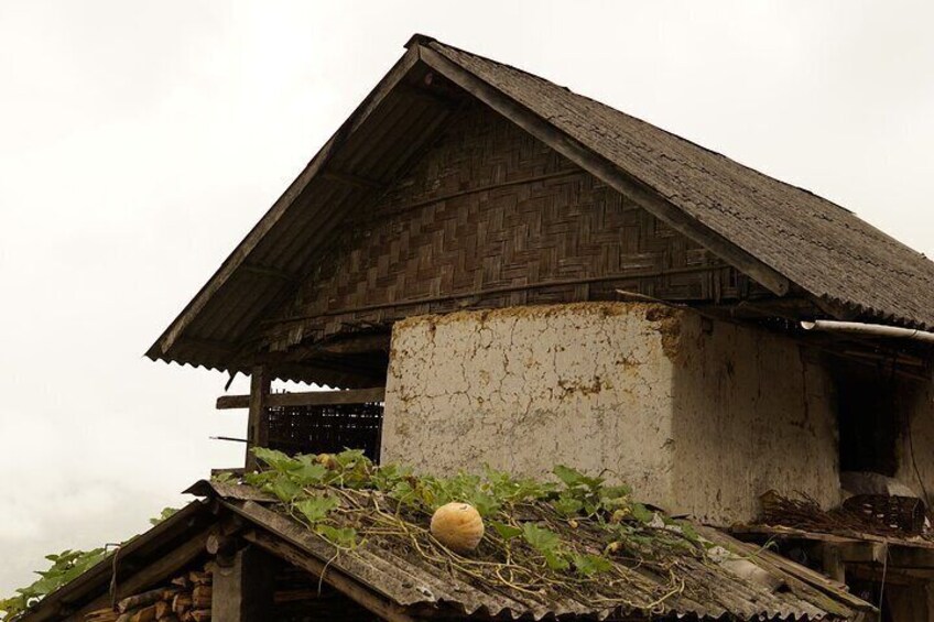 Hidden Villages Trekking to Hau Thao, Hang Da, and Sa Seng
