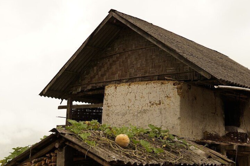 Hidden Villages Trekking to Hau Thao, Hang Da, and Sa Seng
