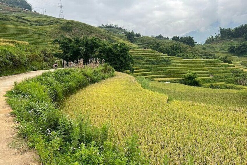 Hidden Villages Trekking to Hau Thao, Hang Da, and Sa Seng