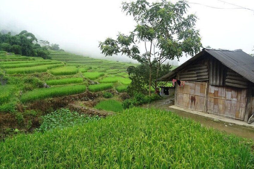 Hidden Villages Trekking to Hau Thao, Hang Da, and Sa Seng