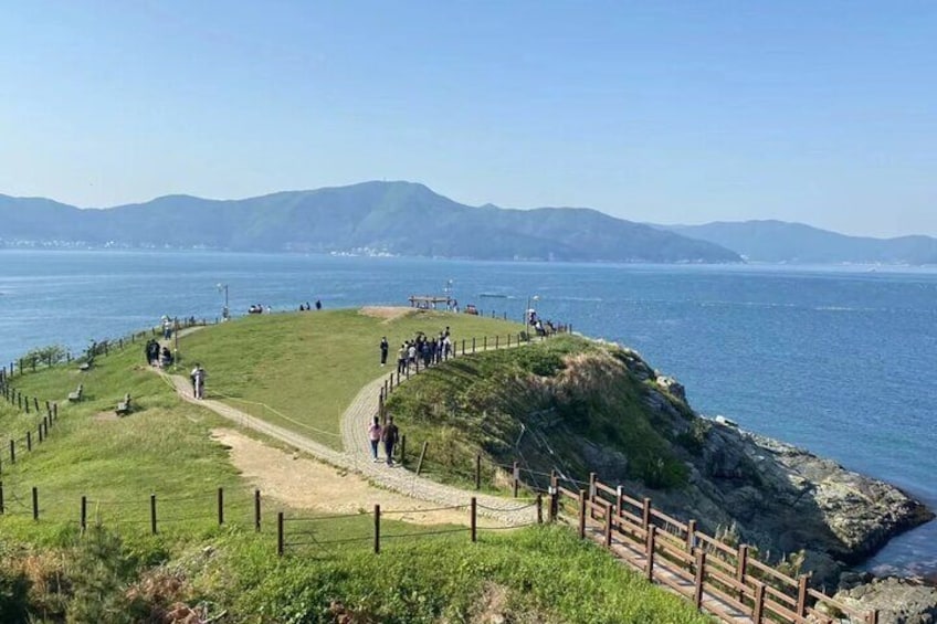 From Busan: Customized Day Trip to Geoje Island