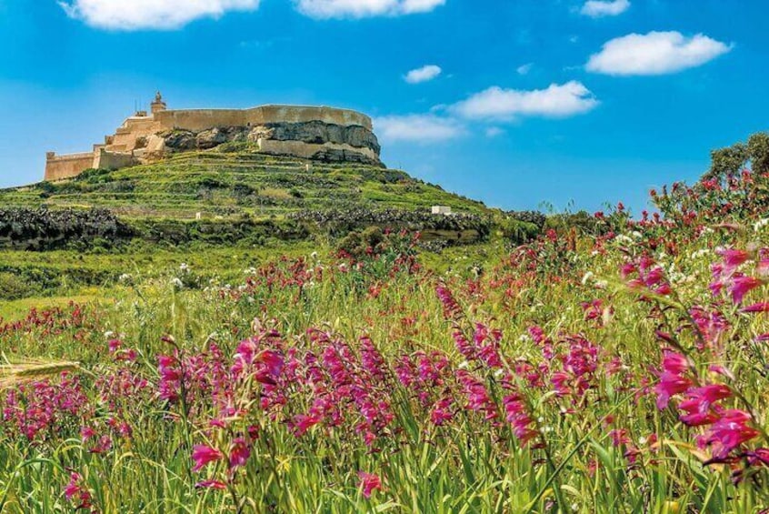 Gozo, Comino & Blue Lagoon Trip by Powerboat from St. Julian's