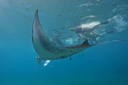 Nusa Penida Land Tour and 4 Points Snorkelling with Manta
