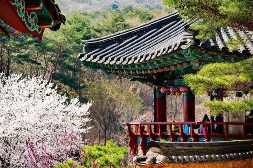 Tongdosa Buddhist Temple - UNESCO
Most holy temple in Korea