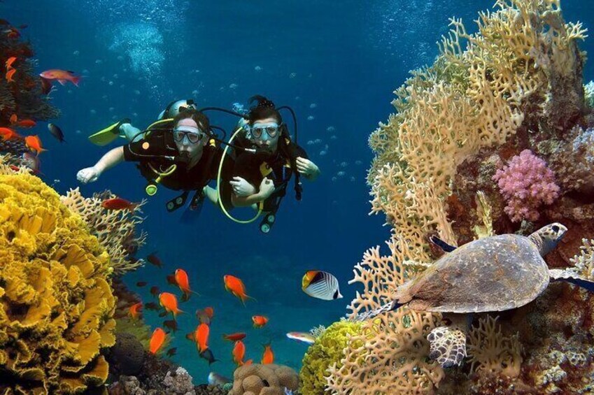 Yanbu Scuba Diving for Beginners