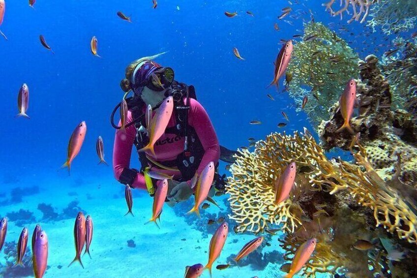 Yanbu Scuba Diving for Beginners
