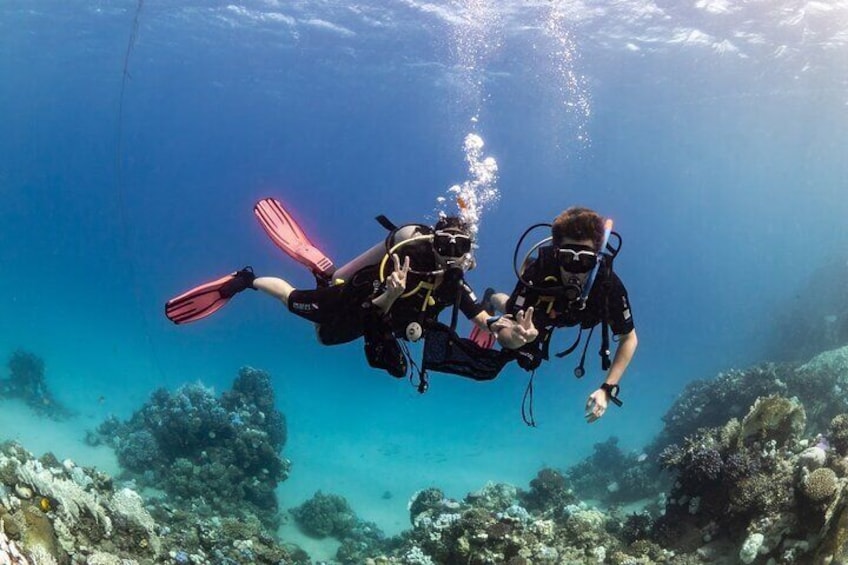 Yanbu Scuba Diving for Beginners
