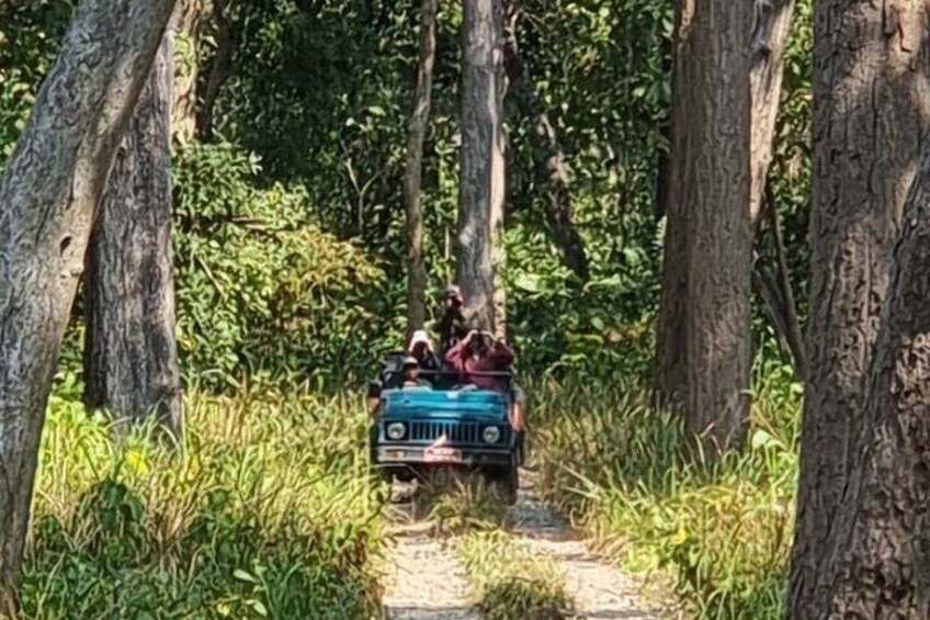 5 Nights Bardia Jungle Safari with Jeep ,Rafting & Walking Safari