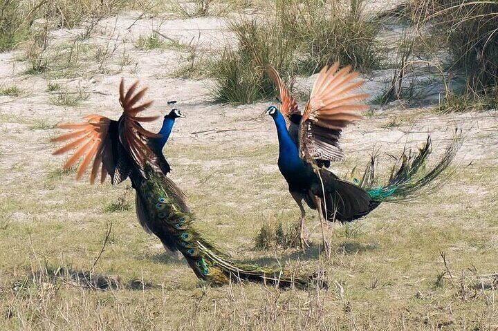 Photos on Social Media : By Mark Our Guest 