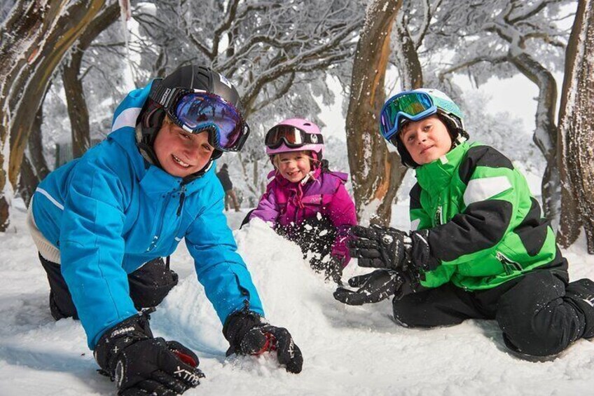 From Melbourne: Mt Buller Scenic Snow Getaway Day Tour