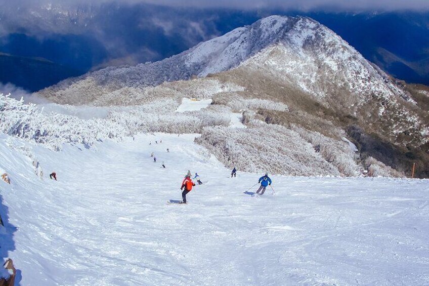 From Melbourne: Mt Buller Scenic Snow Getaway Day Tour