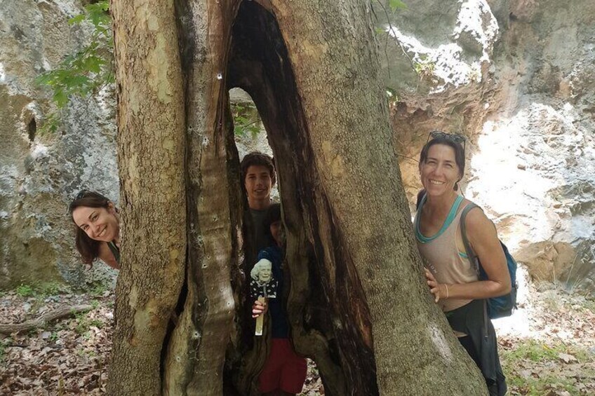Agia Irini Gorge Hike and Libyan Sea