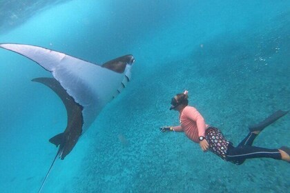 Nusa Penida Island West Snorkeling With Manta Rays