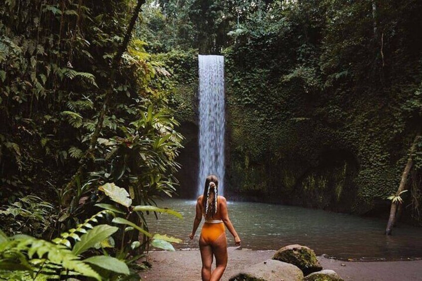 Ubud Waterfalls Water Temple and Rice Terraces Private Tour