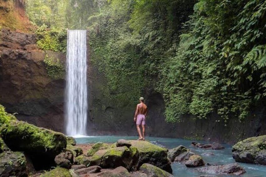 Ubud Waterfalls Water Temple and Rice Terraces Private Tour