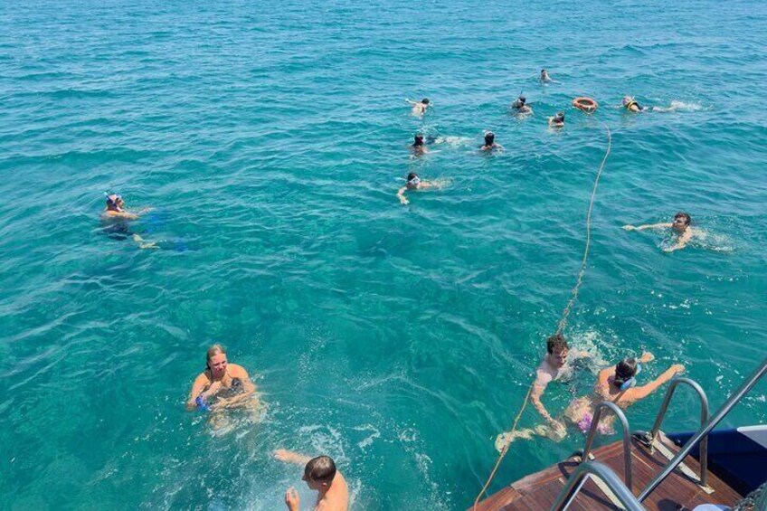 Swim stop