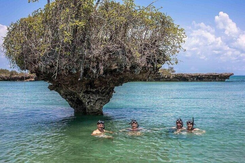 Safari Blue Tour, Exciting Activities & Gourmet Lunch–Zanzibar