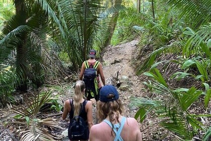 Jungle Hiking & Secret Beach experience by Hiking Sayulita