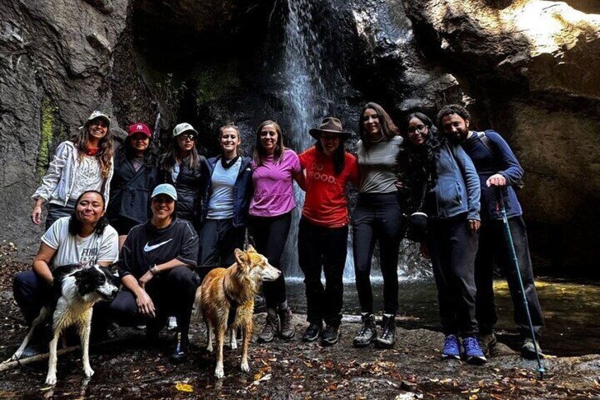 Forest Bathing Nature Sensory Immersion Tour