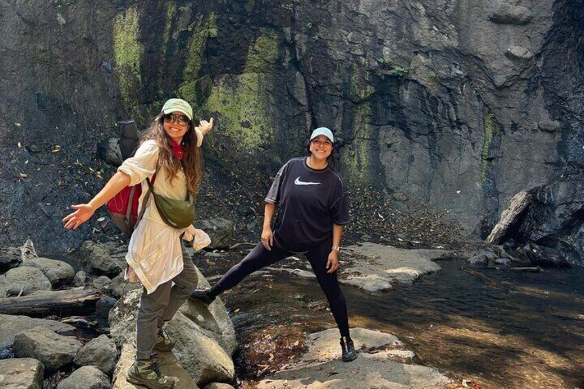 Forest Bathing Nature Sensory Immersion Tour