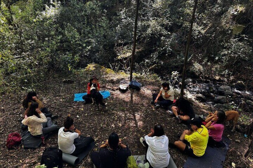 Forest Bathing Nature Sensory Immersion Tour