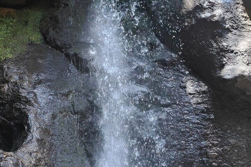Forest Bathing Nature Sensory Immersion Tour