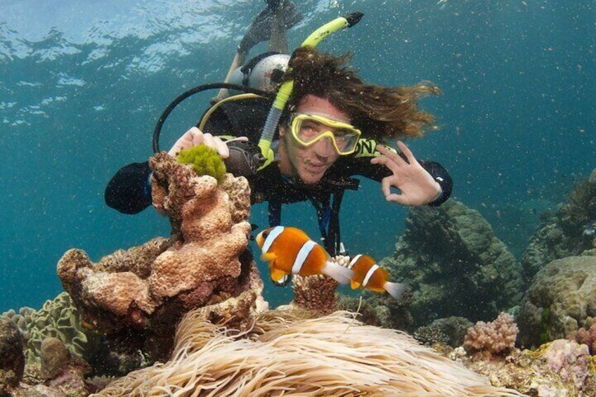 Diving in Yanbu – Private Red Sea Fun Diving Tour 
