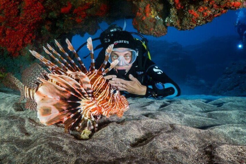 Diving in Yanbu – Private Red Sea Fun Diving Tour