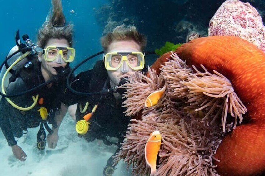 Diving in Yanbu – Private Red Sea Fun Diving Tour 