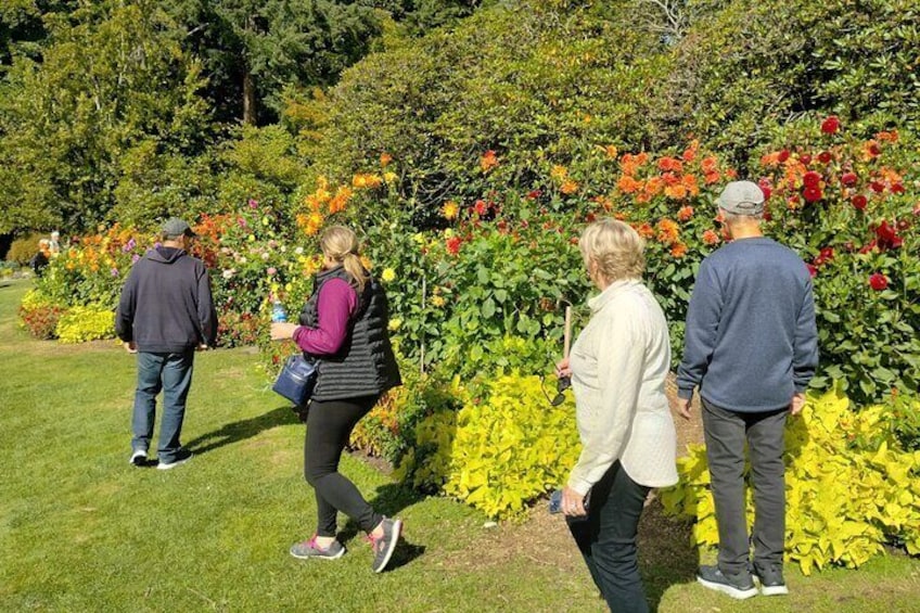 Stanley Park Tour:VIP Car–Small Group,Affordable,Valuable,Comfort