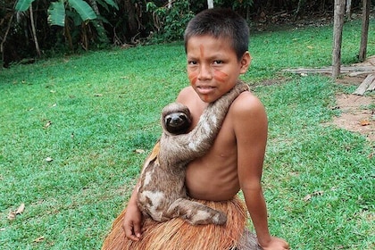 Iquitos: Amazon Jungle Forest - Full Day Adventure