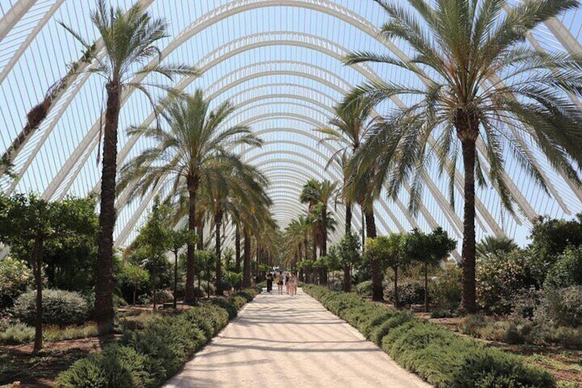 Private Valencia Day Trip from Barcelona with Free Photos