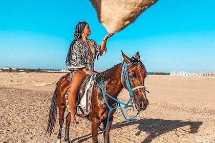 Horse Riding 2 Hours At Desert with Transfers - Sharm El Sheikh