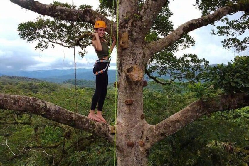 Climb our 40 meter tree and sit in the clouds with beautiful views of the majestic Arenal Volcano