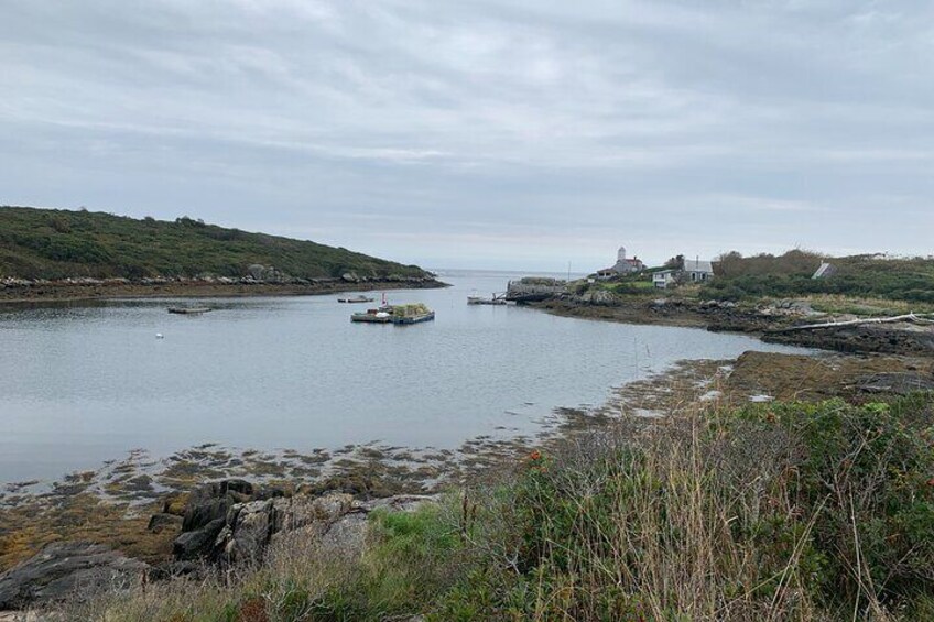 Legendary Damariscove Island - bird and ghost sanctuary!