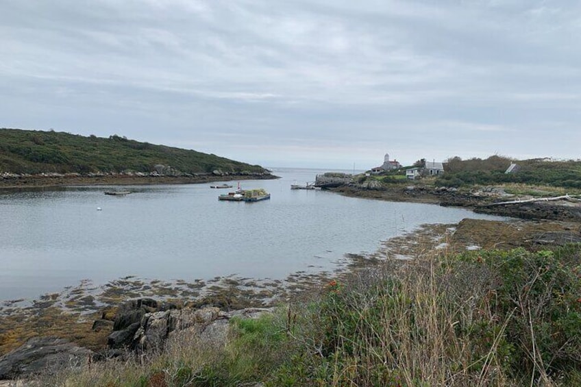 Legendary Damariscove Island - bird and ghost sanctuary!